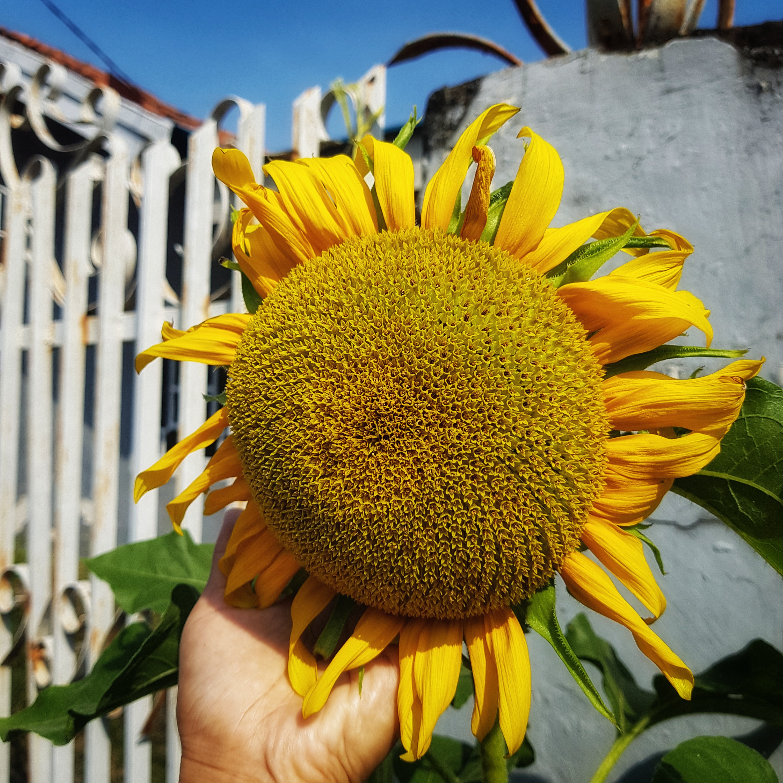 Tentang Bikinan Ibun